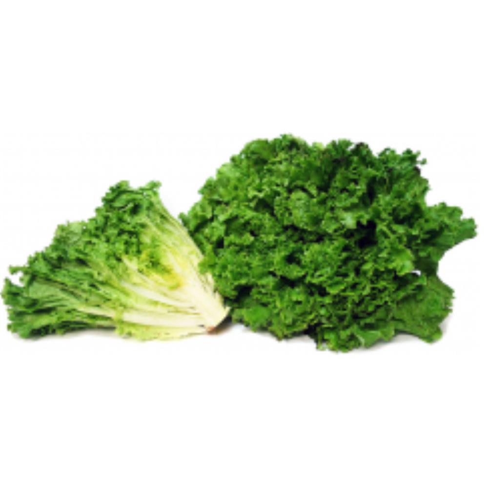 Lettuce, Green Leaf