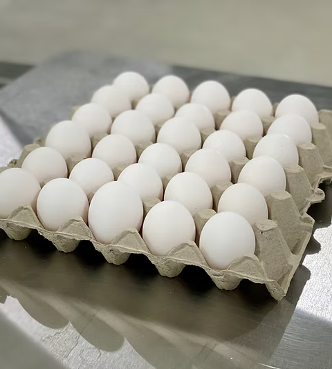 Eggs